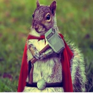 Meet your Posher, Braedon